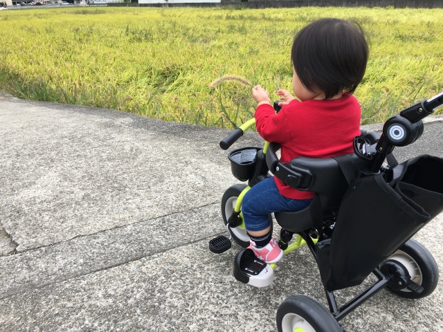 三輪車に乗る赤ちゃん