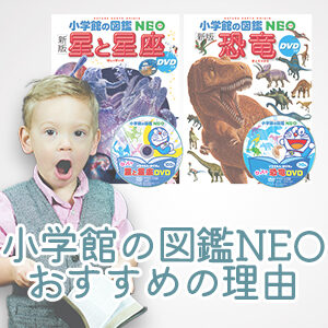 小学館の図鑑NEOがおすすめの理由