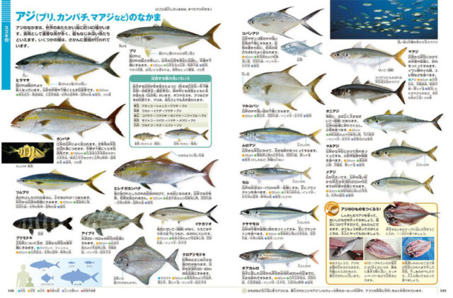 2位_魚2