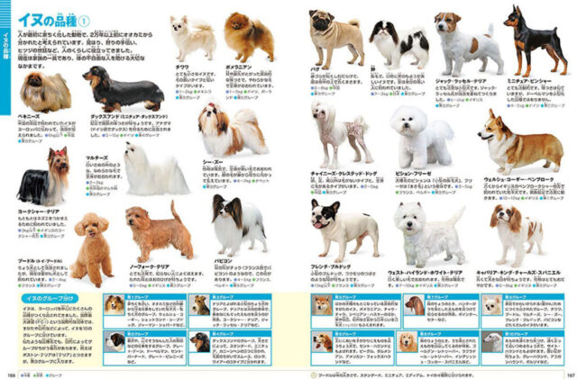 5位_動物4