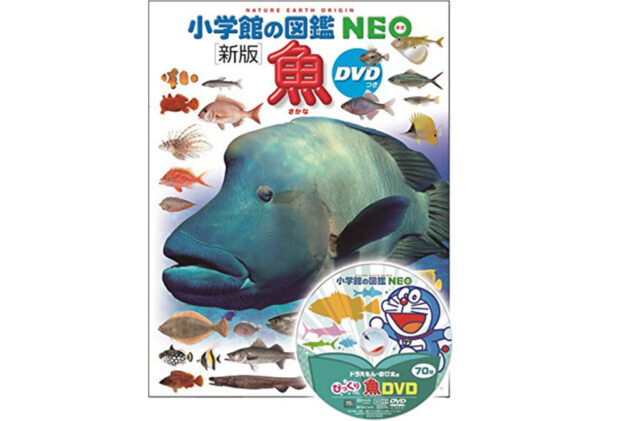 2位_魚1