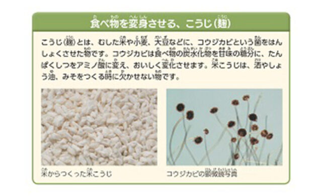 分解する図鑑7