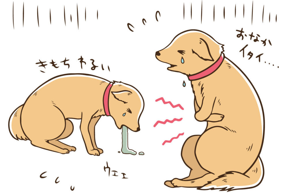 体調の悪い犬のイメージ